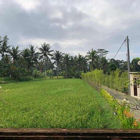 Adi Laxmi Villa Ubud Zewnętrze zdjęcie