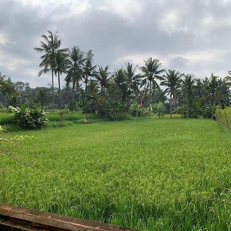 Adi Laxmi Villa Ubud Zewnętrze zdjęcie