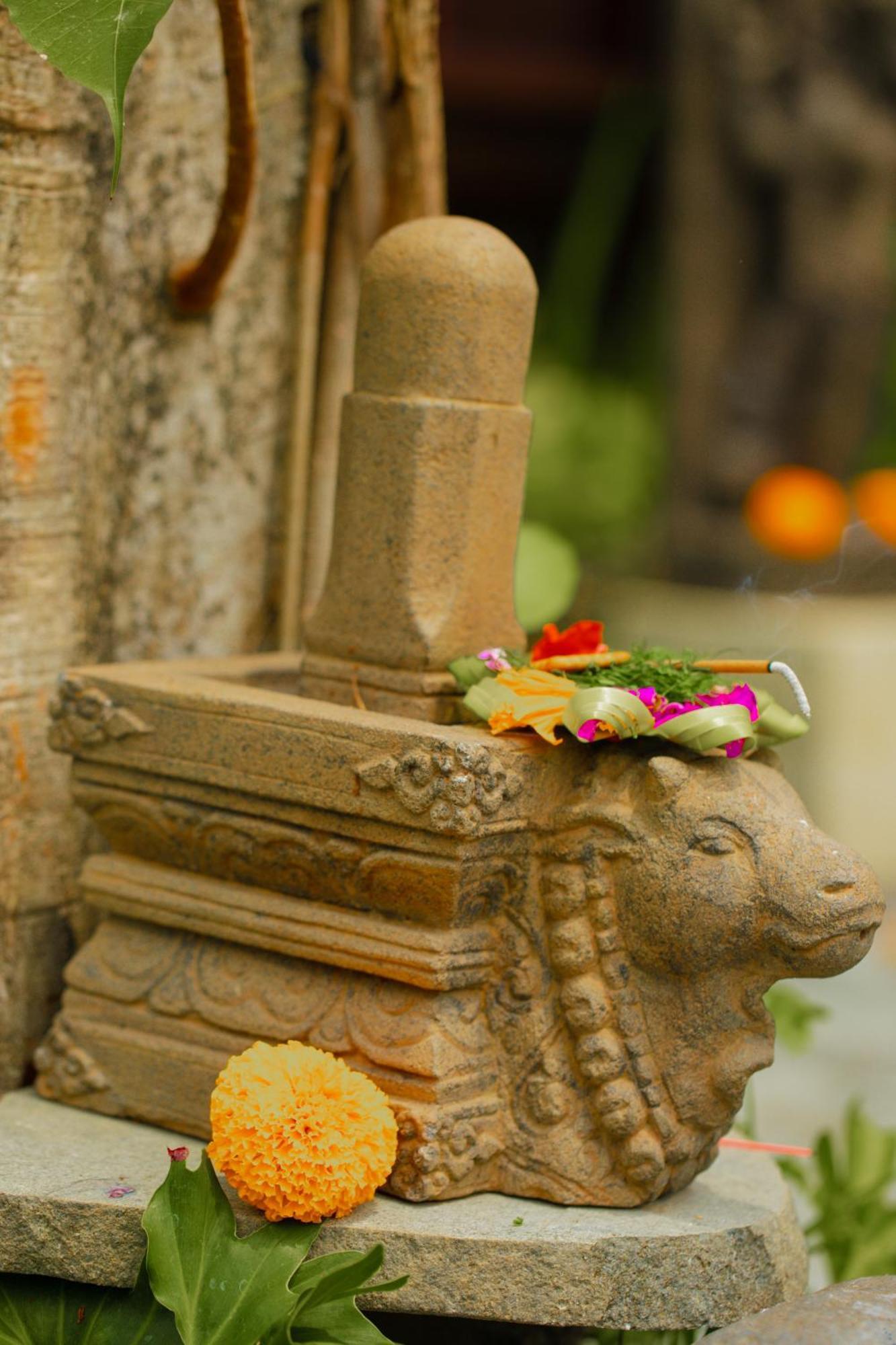 Adi Laxmi Villa Ubud Zewnętrze zdjęcie